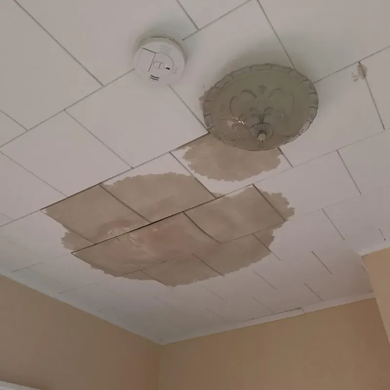 Ceiling Water Damage Repair in MacArthur, WV