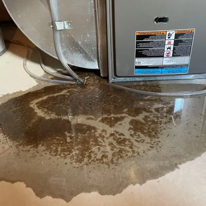 Pipe Burst and Leak Restoration in MacArthur, WV