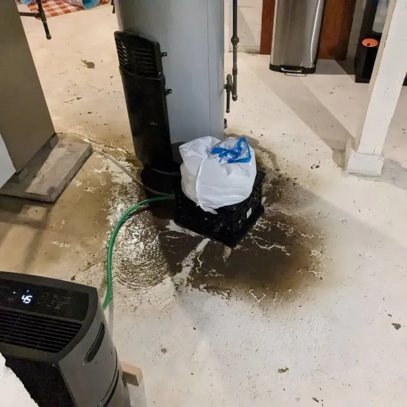 Sewage Backup Cleanup Service in MacArthur, WV